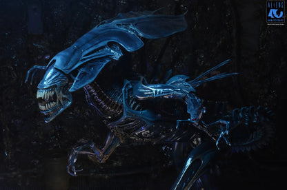 NECA - Aliens 40th Anniversary Alien Queen Ultra Deluxe Af
