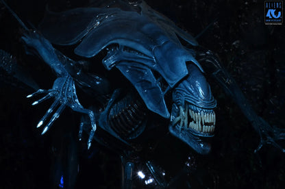 NECA - Aliens 40th Anniversary Alien Queen Ultra Deluxe Af