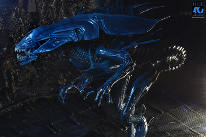 NECA - Aliens 40th Anniversary Alien Queen Ultra Deluxe Af