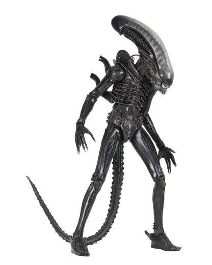 NECA - Alien Big Chap 1/4 Af Rerun