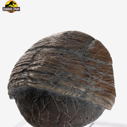 ECC - Jp Triceratops Toenail Prop Reproduction