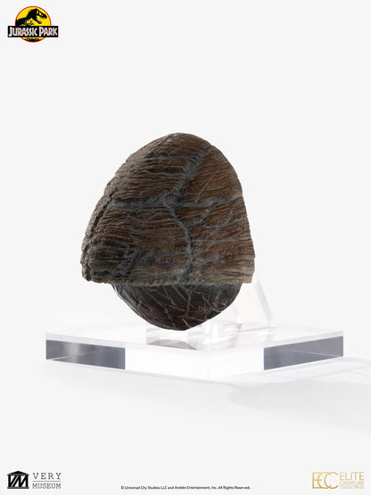 ECC - Jp Triceratops Toenail Prop Reproduction