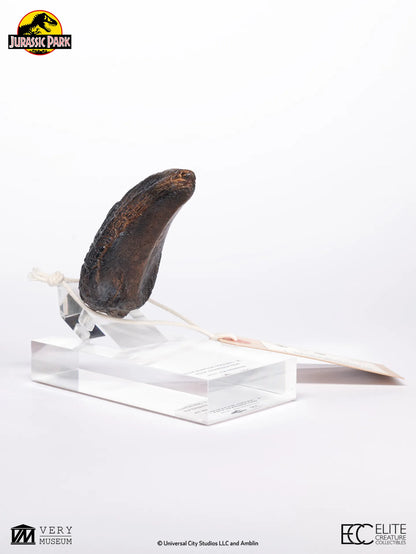 ECC - Jurassic Park Velociraptor Toenail Prop Reproduction Type A