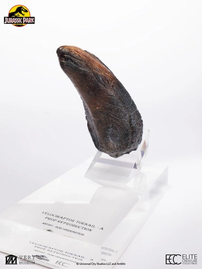 ECC - Jurassic Park Velociraptor Toenail Prop Reproduction Type A
