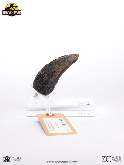 ECC - Jurassic Park Velociraptor Toenail Prop Reproduction Type A