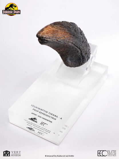 ECC - Jurassic Park Velociraptor Toenail Prop Reproduction Type A