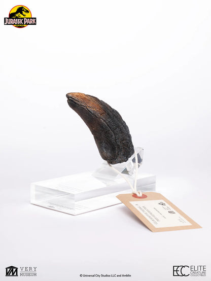 ECC - Jurassic Park Velociraptor Toenail Prop Reproduction Type A