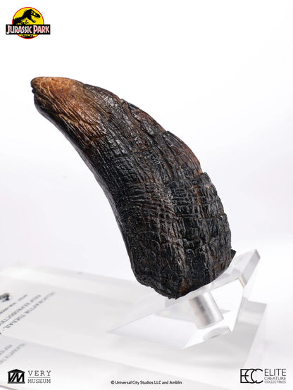 ECC - Jurassic Park Velociraptor Toenail Prop Reproduction Type A