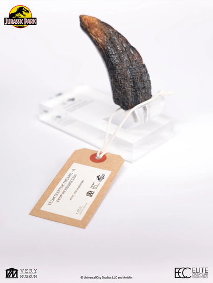 ECC - Jurassic Park Velociraptor Toenail Prop Reproduction Type A