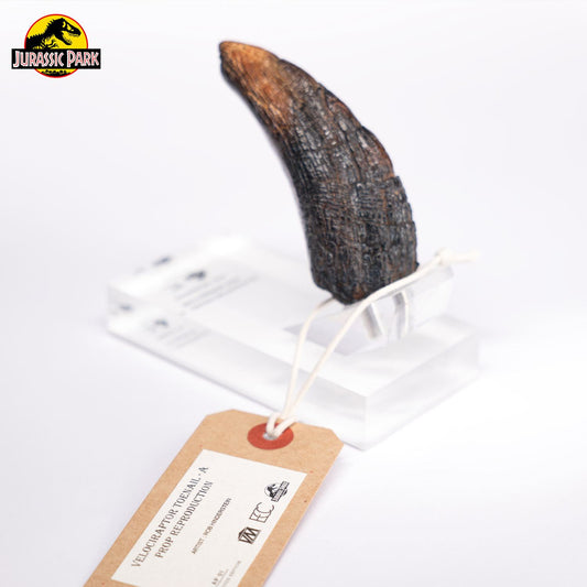 ECC - Jurassic Park Velociraptor Toenail Prop Reproduction Type A