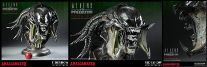 SIDESHOW - Aliens vs Predator - Requiem - Predalien - Life Size Bust