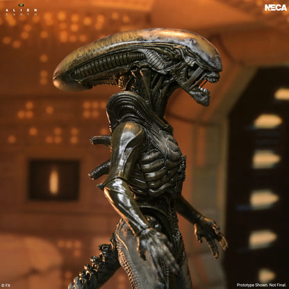 NECA - Alien Earth Wendy Xenomorph Ultimate Action Figure