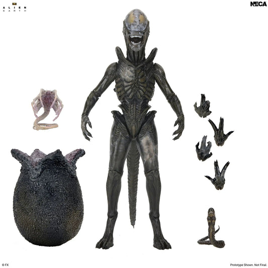 NECA - Alien Earth Wendy Xenomorph Ultimate Action Figure