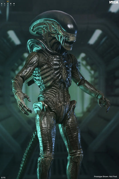 NECA - Alien Earth Xenomorph Ultimate Action Figure