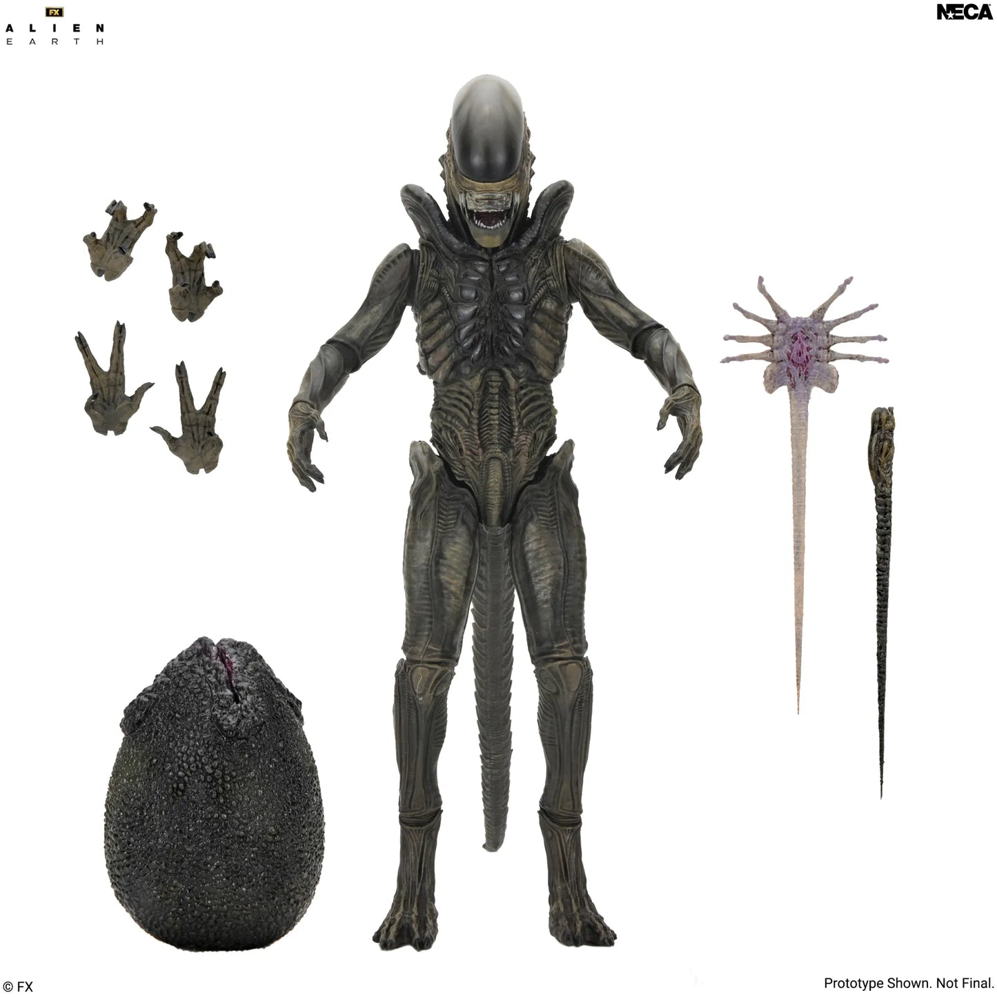 NECA - Alien Earth Xenomorph Ultimate Action Figure