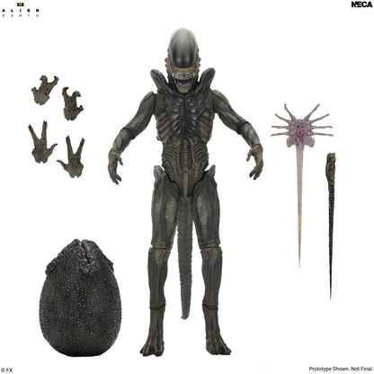 NECA - Alien Earth Xenomorph Ultimate Action Figure