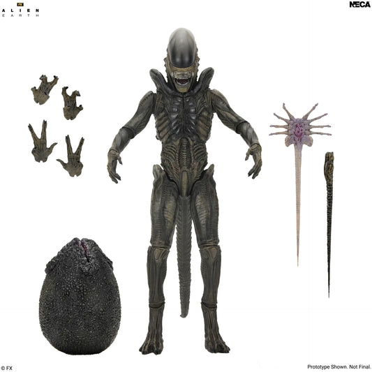 NECA - Alien Earth Xenomorph Ultimate Action Figure