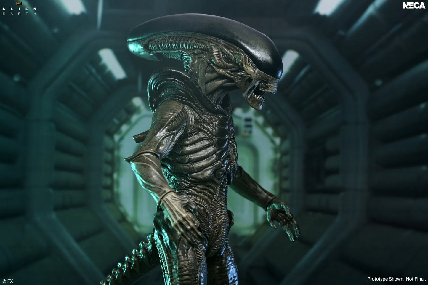 NECA - Alien Earth Xenomorph Ultimate Action Figure