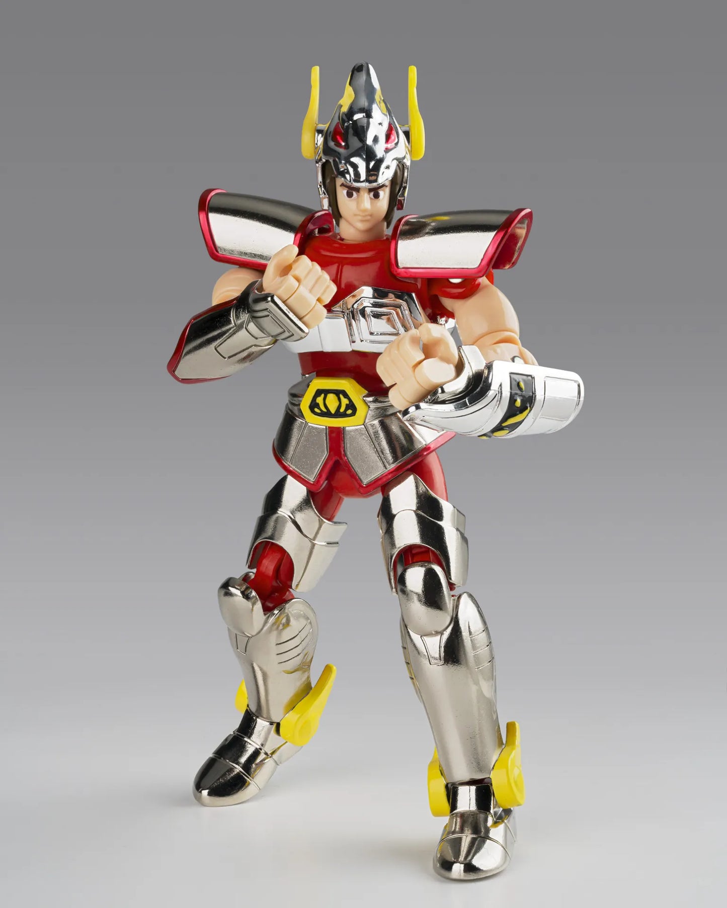 BANDAI - Saint Cloth Series Pegasus Cloth 1st Bronze - Cloth Box Limited Edition