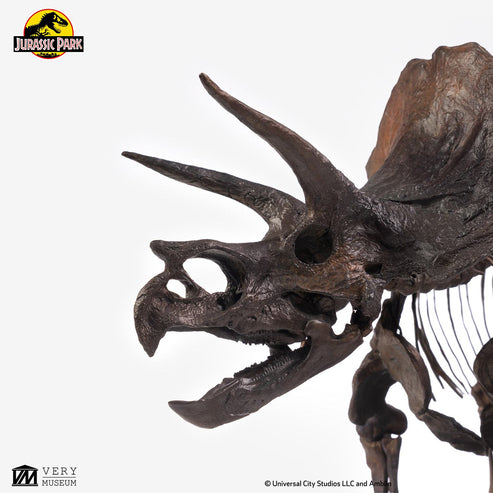 ECC - Jurassic Park Triceratops Fossil Skeleton 1-24 Scale Bronze ...
