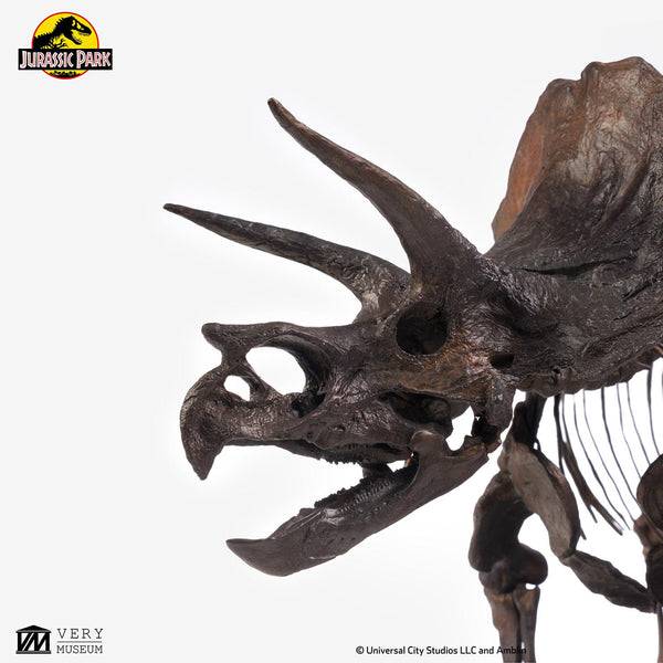 ECC - Jurassic Park Triceratops Fossil Skeleton 1-24 Scale Bronze ...
