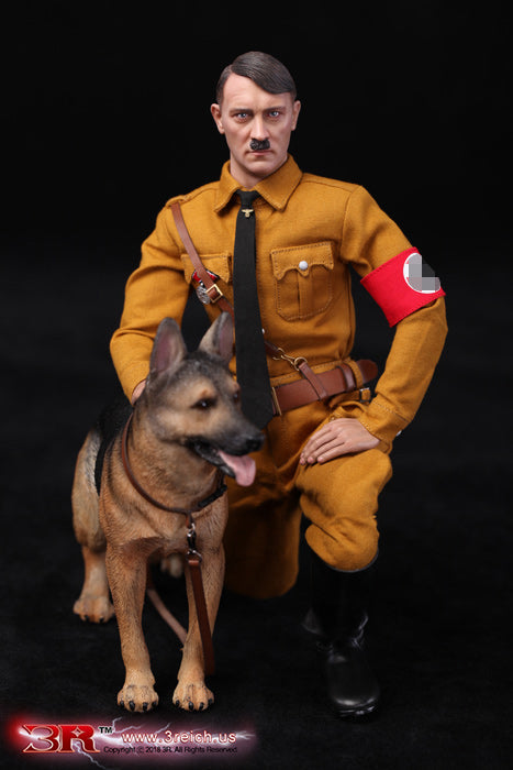 DID/3R - German Shepherd - 1:6 Action Doll (AS003)