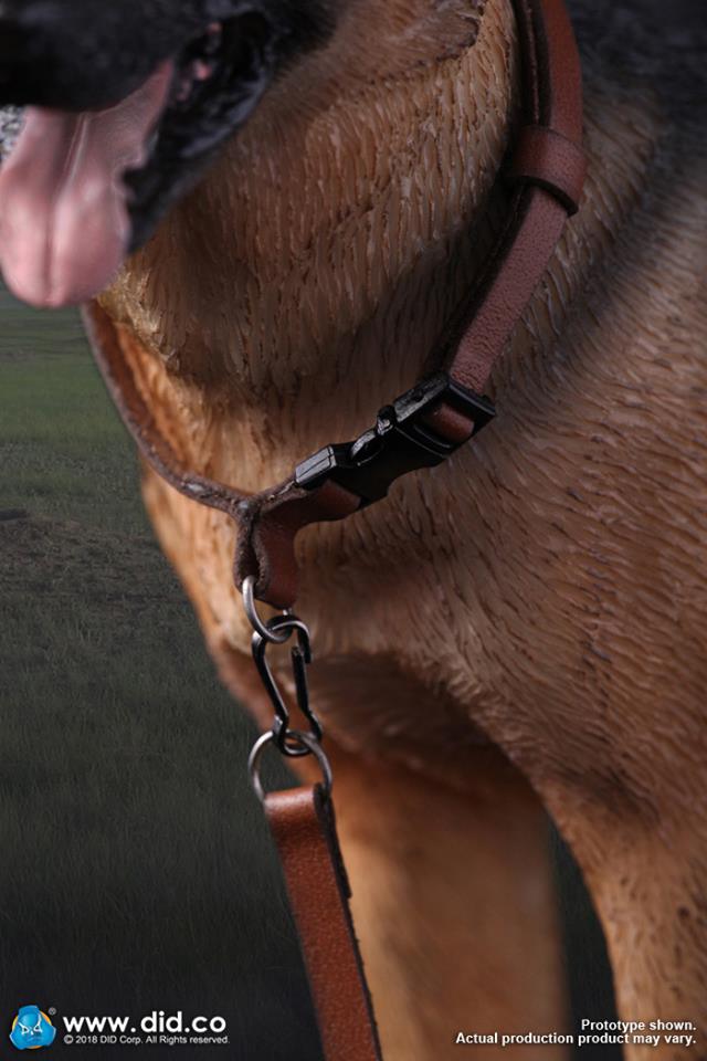 DID/3R - German Shepherd - 1:6 Action Doll (AS003)