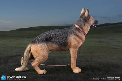 DID/3R - German Shepherd - 1:6 Action Doll (AS003)