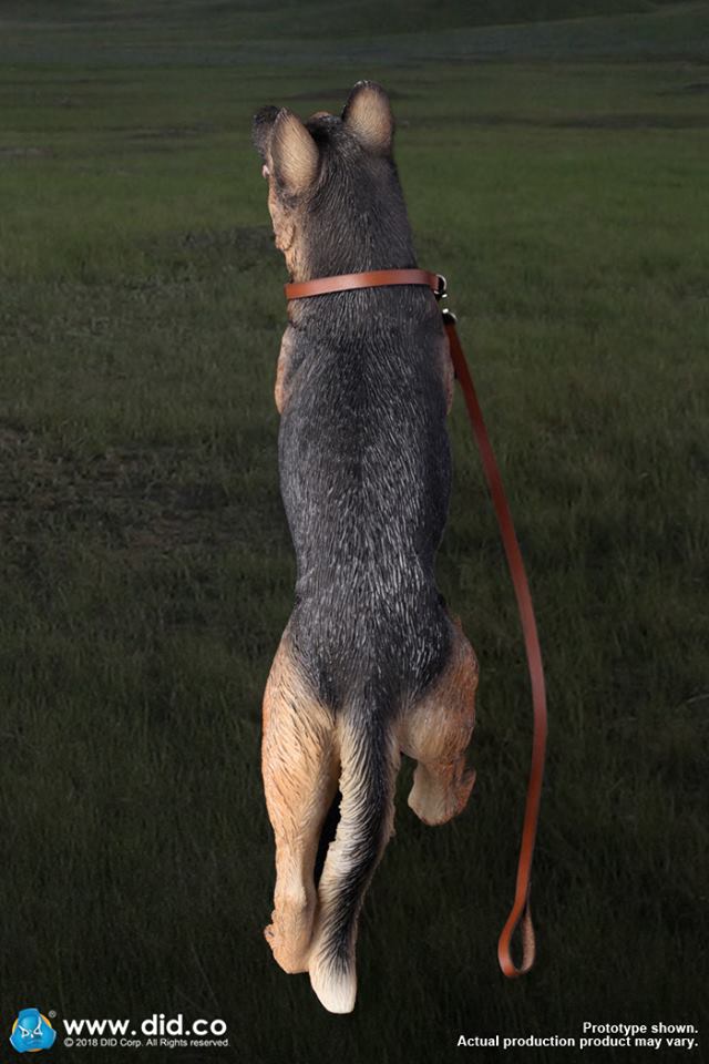 DID/3R - German Shepherd - 1:6 Action Doll (AS003)