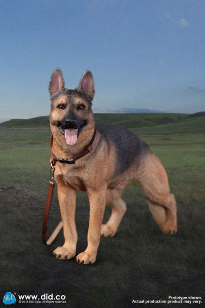 DID/3R - German Shepherd - 1:6 Action Doll (AS003)