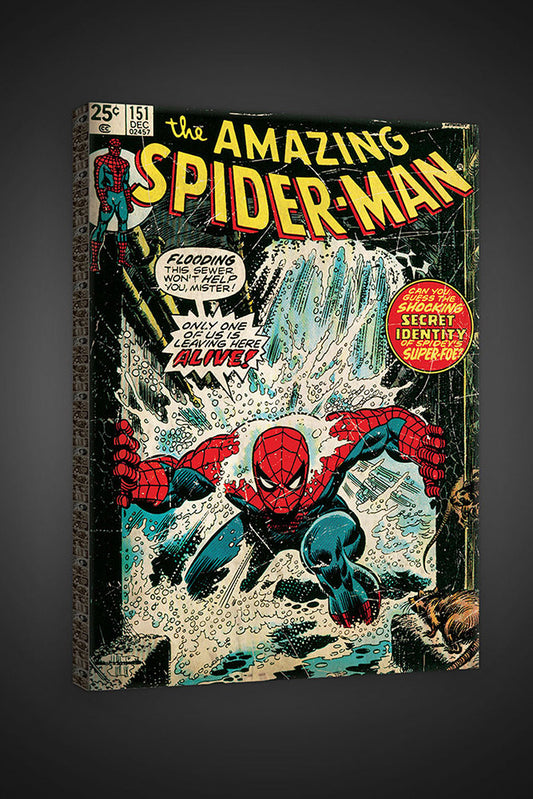 FOR WALLS - Canvas Amazing Spider-Man