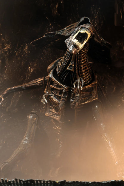 NECA - Aliens Alien Queen Resurrection Dlx Af