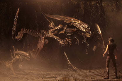 NECA - Aliens Alien Queen Resurrection Dlx Af