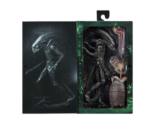 NECA - Alien Ultimate 40th Anniversary Big Chap af