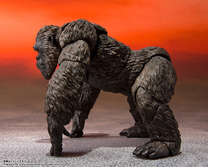 BANDAI TAMASHII - GODZILLA VS KONG - KONG MONSTERARTS