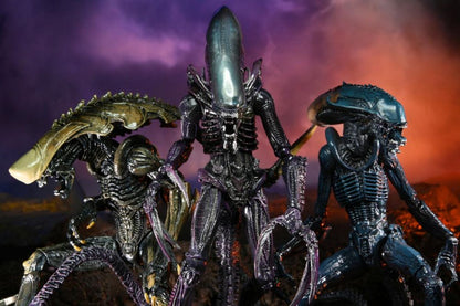 NECA - Alien vs Predator Alien Movie Deco Action Figure - Arachnoid Alien