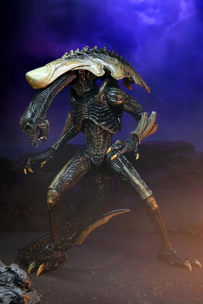 NECA - Alien vs Predator Alien Movie Deco Action Figure - Chrysalis Alien