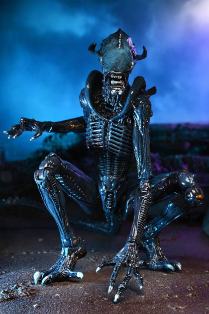 NECA - Alien vs Predator Alien Movie Deco Action Figure - Arachnoid Alien