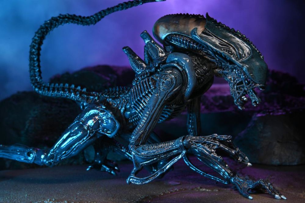 NECA - Alien vs Predator Alien Movie Deco Action Figure - Arachnoid Alien