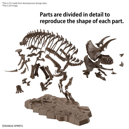 BANDAI - Imaginary Skeleton Triceratops 1/32