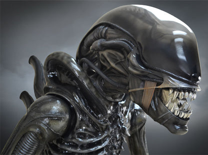 HOLLYWOOD COLLECTIBLES GROUP - Alien Big Chap 1:1 Scale