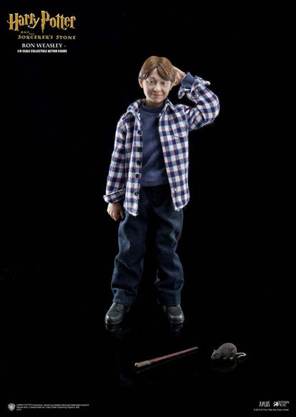 STAR ACE -  SA0012  RON WEASLEY HERRY POTTER - 1/6