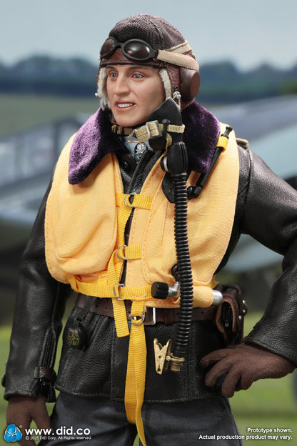 DID -  1/6 WWII German Luftwaffe Ace Pilot  Erich Hartmann D80190