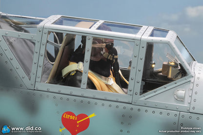 DID -  1/6 WWII German Luftwaffe Ace Pilot  Erich Hartmann D80190