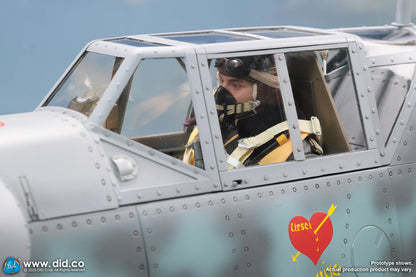 DID -  1/6 WWII German Luftwaffe Ace Pilot  Erich Hartmann D80190