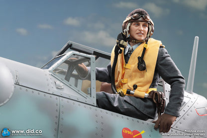 DID -  1/6 WWII German Luftwaffe Ace Pilot  Erich Hartmann D80190