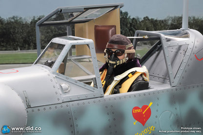 DID -  1/6 WWII German Luftwaffe Ace Pilot  Erich Hartmann D80190