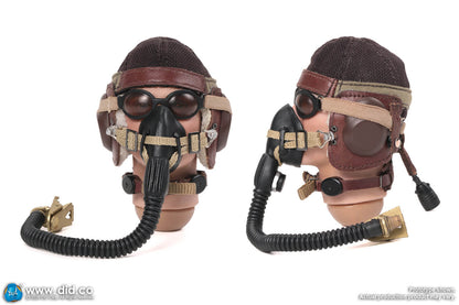 DID -  1/6 WWII German Luftwaffe Ace Pilot  Erich Hartmann D80190