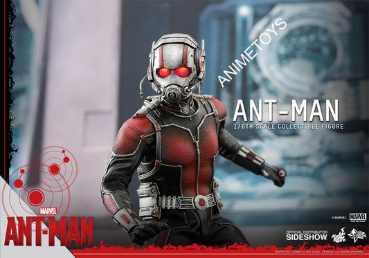 HOT TOYS - Marvel - Ant-Man - Movie Masterpiece 1:6 Action Doll
