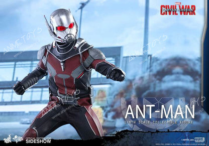 HOT TOYS - Marvel - Captain America - Civil War - Ant-Man - Movie Masterpiece 1:6 Action Doll MMS362